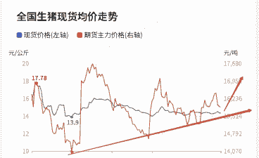 生猪期货何时推出