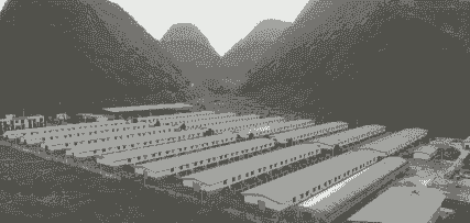 黔江生猪养殖规模