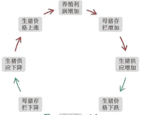 生猪养殖模式有哪些