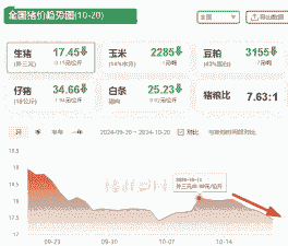 生猪期货为什么跌