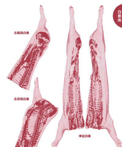 猪白条肉与生猪