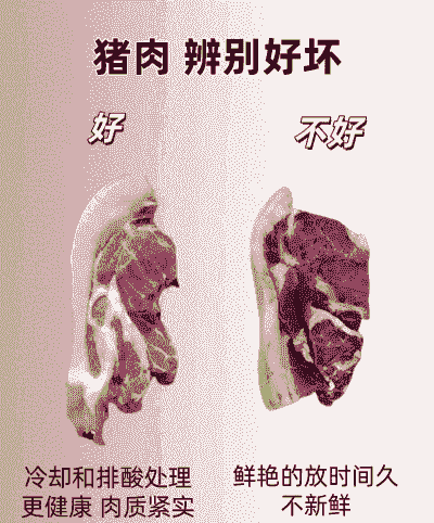 这样分辨生猪的好坏