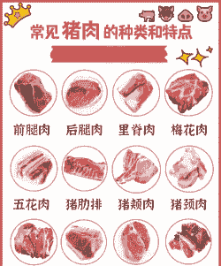 生猪能出多少肉