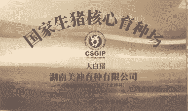 生猪有什么协会吗