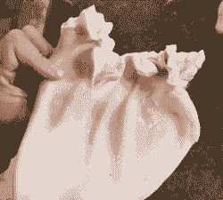 乐山生猪耳片价格