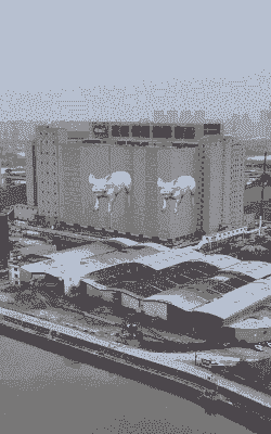 最大的生猪养殖集团