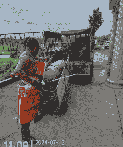 江油哪在生猪收购