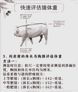 生猪屠宰体重要求