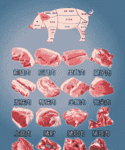 生猪和肉猪的区别