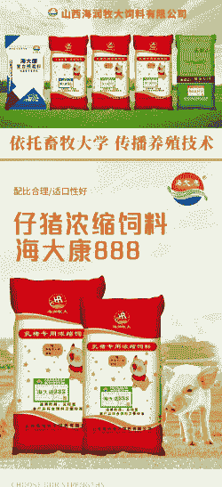 生猪饲料哪家好