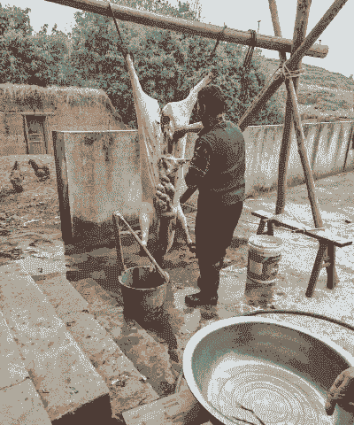 农村屠宰生猪违法吗