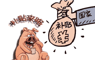 全国生猪养殖补贴政策