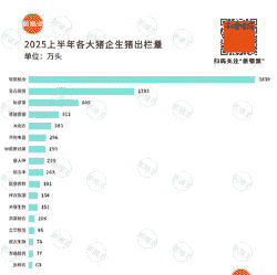 生猪数量排行榜