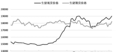 河南洛阳生猪价格走势