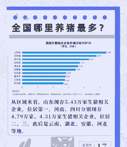 全国最大的生猪 省