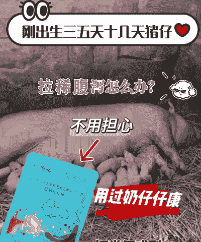 新出生猪仔拉稀咋办
