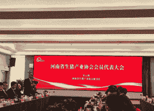 生猪协会有什么好主题