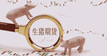 生猪期货套保是什么