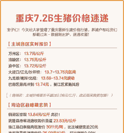 重庆市生猪价格怎样