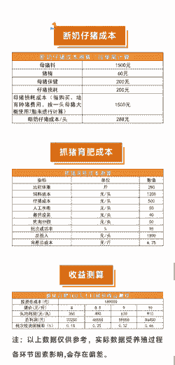 饲养生猪成本计算