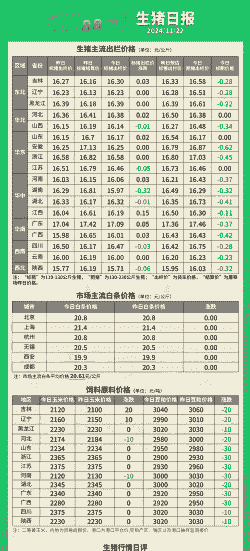 生猪与白条价格比例