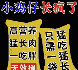 肉鸡喂什么增重快