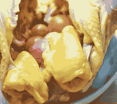 肉鸡后期催肥豆油用量