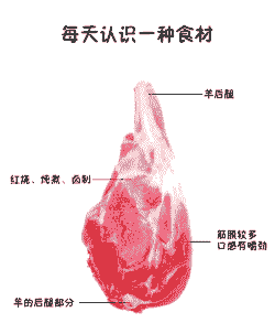 山羊的肉质怎么样