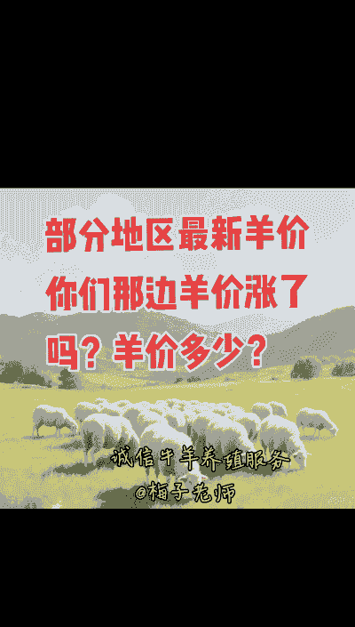 绵羊和山羊肉的价格