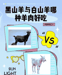 白山羊和黑山羊哪个好