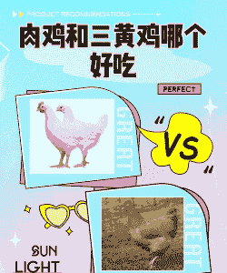 三黄鸡和肉鸡区别