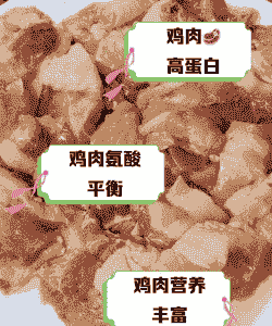 肉鸡一天吃多少料