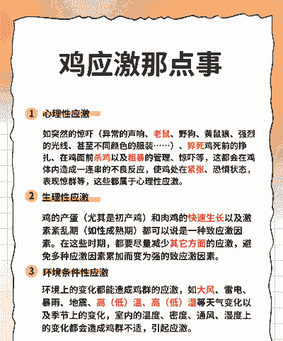 肉鸡热应激怎么办