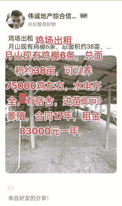 肉鸡养殖大棚价格