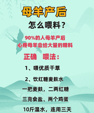 山羊产后怎么喂养