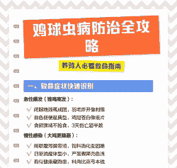 肉鸡球虫病的防治