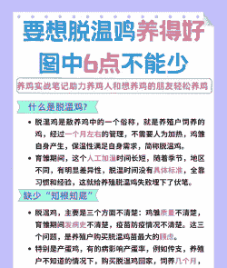 肉鸡养殖培训内容