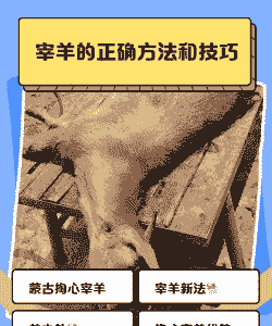 山羊放牧需要注什么