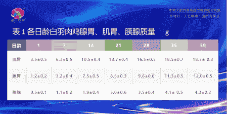 肉鸡出栏前怎样增重