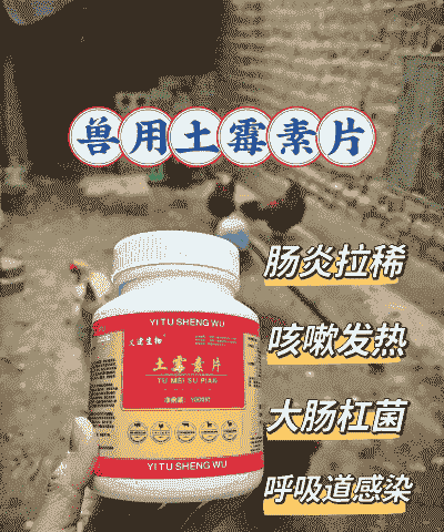 肉鸡腹膜炎特效药