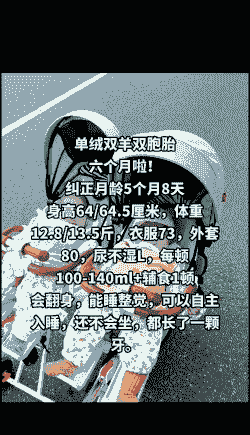 绒山羊怀胎几个月