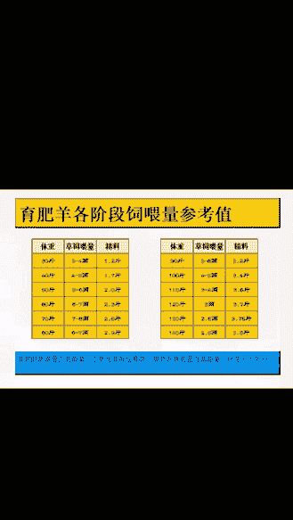 山羊采食量是体重多少