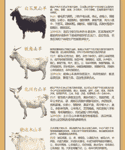 种什么山羊喜欢吃