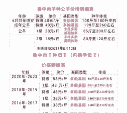 山东波尔山羊肉羊价格