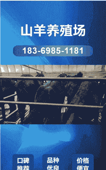 湖南常德哪里有黑山羊