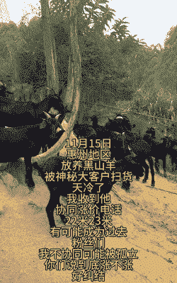 黑山羊养殖基地价格