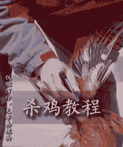 怎样强制肉鸡羽毛