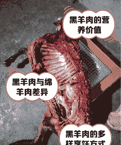 黑山羊为什么会有流产