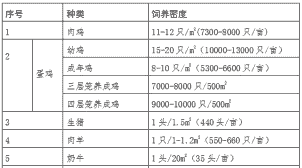 正常肉鸡养殖密度