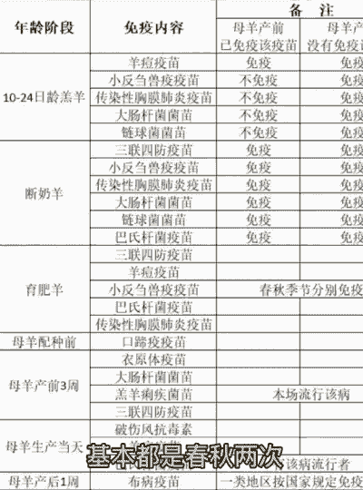黑山羊养殖打几种疫苗